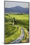 Italy, Tuscany. Landscape with villa-Jaynes Gallery-Mounted Photographic Print