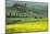 Italy, Tuscany. Landscape with villa.-Jaynes Gallery-Mounted Photographic Print