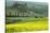 Italy, Tuscany. Landscape with villa.-Jaynes Gallery-Stretched Canvas