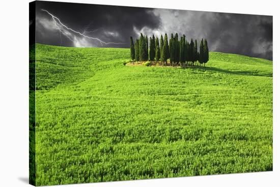 Italy, Tuscany. Lightning behind cypress trees on hill-Jaynes Gallery-Stretched Canvas