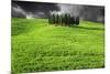 Italy, Tuscany. Lightning behind cypress trees on hill-Jaynes Gallery-Mounted Photographic Print