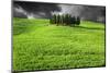 Italy, Tuscany. Lightning behind cypress trees on hill-Jaynes Gallery-Mounted Photographic Print