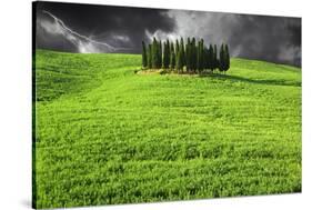 Italy, Tuscany. Lightning behind cypress trees on hill-Jaynes Gallery-Stretched Canvas