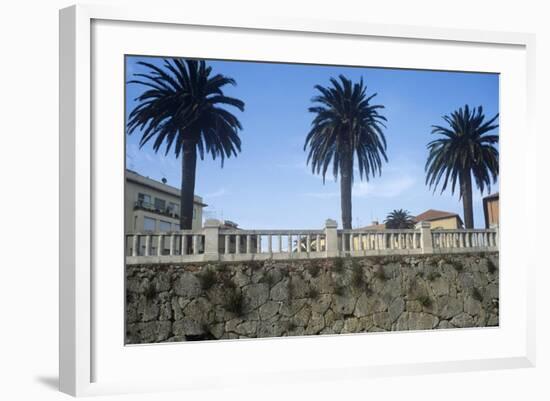 Italy, Tuscany, Maremma, Orbetello, Etruscan Wall with Palm Trees-null-Framed Giclee Print