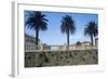 Italy, Tuscany, Maremma, Orbetello, Etruscan Wall with Palm Trees-null-Framed Giclee Print