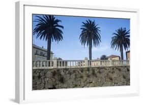 Italy, Tuscany, Maremma, Orbetello, Etruscan Wall with Palm Trees-null-Framed Giclee Print