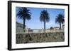 Italy, Tuscany, Maremma, Orbetello, Etruscan Wall with Palm Trees-null-Framed Giclee Print