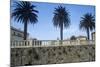 Italy, Tuscany, Maremma, Orbetello, Etruscan Wall with Palm Trees-null-Mounted Giclee Print