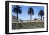 Italy, Tuscany, Maremma, Orbetello, Etruscan Wall with Palm Trees-null-Framed Giclee Print