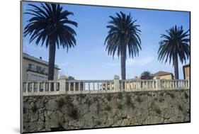 Italy, Tuscany, Maremma, Orbetello, Etruscan Wall with Palm Trees-null-Mounted Giclee Print