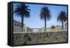 Italy, Tuscany, Maremma, Orbetello, Etruscan Wall with Palm Trees-null-Framed Stretched Canvas