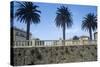 Italy, Tuscany, Maremma, Orbetello, Etruscan Wall with Palm Trees-null-Stretched Canvas