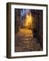 Italy, Tuscany. Montefioralle Near the Town of Greve in Chianti-Julie Eggers-Framed Photographic Print