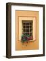 Italy, Tuscany, Montepulciano. Potted plant on a windowsill in the hill town of Montepulciano.-Julie Eggers-Framed Photographic Print