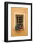 Italy, Tuscany, Montepulciano. Potted plant on a windowsill in the hill town of Montepulciano.-Julie Eggers-Framed Photographic Print