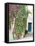 Italy, Tuscany, Monticchiello. Red Ivy Covering the Walls of Buildings-Julie Eggers-Framed Stretched Canvas