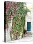 Italy, Tuscany, Monticchiello. Red Ivy Covering the Walls of Buildings-Julie Eggers-Stretched Canvas
