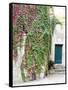 Italy, Tuscany, Monticchiello. Red Ivy Covering the Walls of Buildings-Julie Eggers-Framed Stretched Canvas