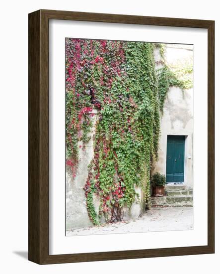 Italy, Tuscany, Monticchiello. Red Ivy Covering the Walls of Buildings-Julie Eggers-Framed Photographic Print