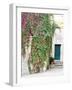 Italy, Tuscany, Monticchiello. Red Ivy Covering the Walls of Buildings-Julie Eggers-Framed Photographic Print