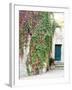 Italy, Tuscany, Monticchiello. Red Ivy Covering the Walls of Buildings-Julie Eggers-Framed Photographic Print