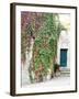 Italy, Tuscany, Monticchiello. Red Ivy Covering the Walls of Buildings-Julie Eggers-Framed Photographic Print