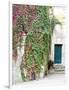 Italy, Tuscany, Monticchiello. Red Ivy Covering the Walls of Buildings-Julie Eggers-Framed Photographic Print