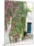 Italy, Tuscany, Monticchiello. Red Ivy Covering the Walls of Buildings-Julie Eggers-Mounted Photographic Print