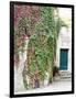 Italy, Tuscany, Monticchiello. Red Ivy Covering the Walls of Buildings-Julie Eggers-Framed Photographic Print