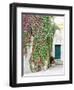 Italy, Tuscany, Monticchiello. Red Ivy Covering the Walls of Buildings-Julie Eggers-Framed Photographic Print