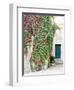 Italy, Tuscany, Monticchiello. Red Ivy Covering the Walls of Buildings-Julie Eggers-Framed Photographic Print