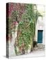 Italy, Tuscany, Monticchiello. Red Ivy Covering the Walls of Buildings-Julie Eggers-Stretched Canvas