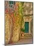 Italy, Tuscany, Monticchiello. Red ivy covering the walls of the buildings.-Julie Eggers-Mounted Photographic Print