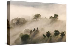 Italy, Tuscany. Morning Fog Drifting over Vineyards with Sun Breaking Through-Brenda Tharp-Stretched Canvas