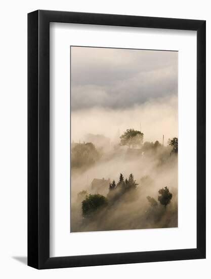 Italy, Tuscany. Morning Fog Drifting over Vineyards with Sun Breaking Through-Brenda Tharp-Framed Photographic Print