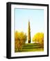 Italy, Tuscany. Morning light in olive groves-Terry Eggers-Framed Photographic Print