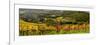 Italy, Tuscany. Panoramic view of a colorful vineyard in the Tuscan landscape.-Julie Eggers-Framed Photographic Print