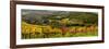 Italy, Tuscany. Panoramic view of a colorful vineyard in the Tuscan landscape.-Julie Eggers-Framed Photographic Print