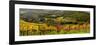 Italy, Tuscany. Panoramic view of a colorful vineyard in the Tuscan landscape.-Julie Eggers-Framed Photographic Print