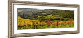 Italy, Tuscany. Panoramic view of a colorful vineyard in the Tuscan landscape.-Julie Eggers-Framed Photographic Print