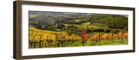 Italy, Tuscany. Panoramic view of a colorful vineyard in the Tuscan landscape.-Julie Eggers-Framed Photographic Print