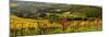 Italy, Tuscany. Panoramic view of a colorful vineyard in the Tuscan landscape.-Julie Eggers-Mounted Photographic Print