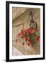 Italy, Tuscany, Pienza. Colorful Petunias Spill from a Basket on a Stone Wall-Brenda Tharp-Framed Photographic Print