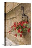 Italy, Tuscany, Pienza. Colorful Petunias Spill from a Basket on a Stone Wall-Brenda Tharp-Stretched Canvas