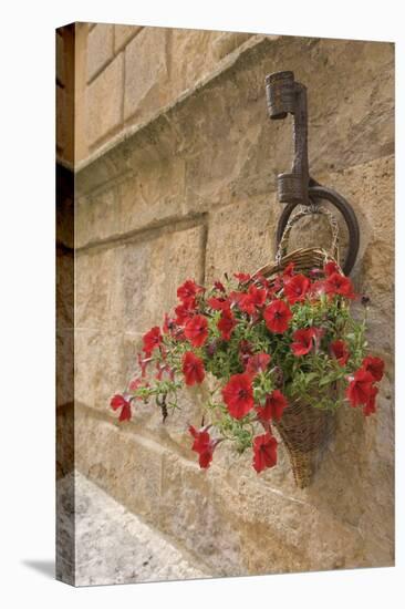 Italy, Tuscany, Pienza. Colorful Petunias Spill from a Basket on a Stone Wall-Brenda Tharp-Stretched Canvas