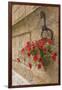 Italy, Tuscany, Pienza. Colorful Petunias Spill from a Basket on a Stone Wall-Brenda Tharp-Framed Photographic Print