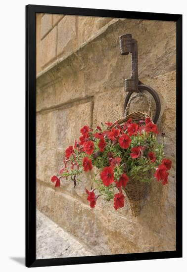 Italy, Tuscany, Pienza. Colorful Petunias Spill from a Basket on a Stone Wall-Brenda Tharp-Framed Photographic Print