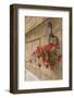 Italy, Tuscany, Pienza. Colorful Petunias Spill from a Basket on a Stone Wall-Brenda Tharp-Framed Photographic Print