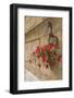 Italy, Tuscany, Pienza. Colorful Petunias Spill from a Basket on a Stone Wall-Brenda Tharp-Framed Photographic Print