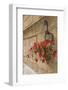 Italy, Tuscany, Pienza. Colorful Petunias Spill from a Basket on a Stone Wall-Brenda Tharp-Framed Photographic Print